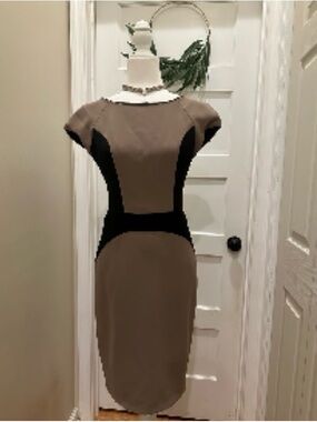 Eva Franco Taupe and Black Panel Midi Dress